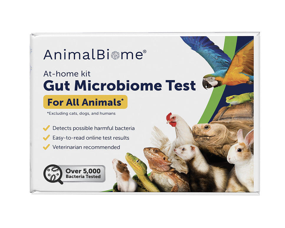 AnimalBiome Gut Microbiome Test for All Animals on a white background