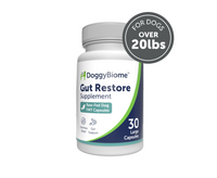 Thumbnail for DoggyBiome™ Gut Restore Supplement from Raw-Fed Dogs