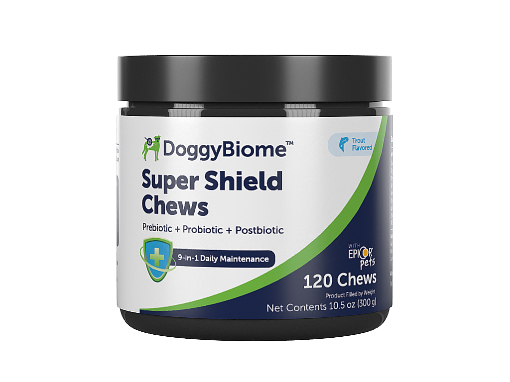 Jar of DoggyBiome Super Shield Chews
