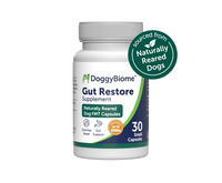 Thumbnail for DoggyBiome™ Gut Restore Supplement from Naturally Reared Dogs