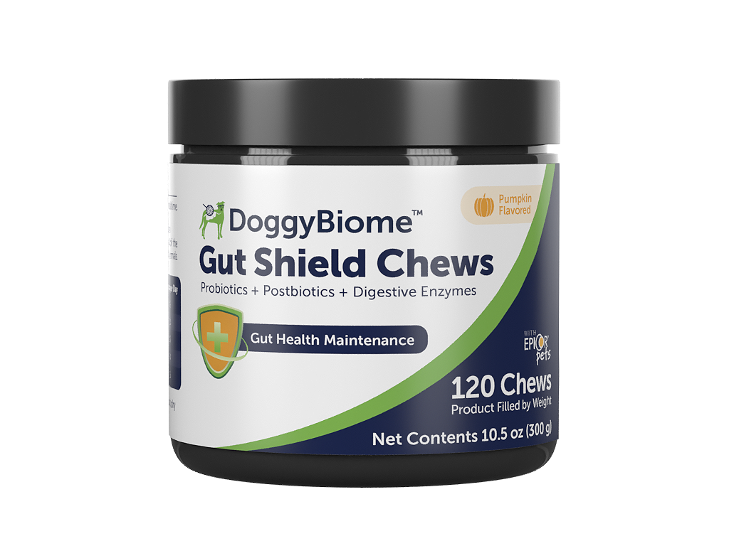 Front view of a jar of DoggyBiome Gut Shield Chews on a white background