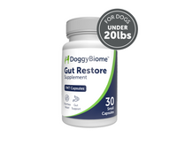 Thumbnail for DoggyBiome™ Gut Restore Supplement from Standard Diet-Fed Dogs