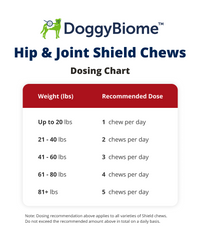 Thumbnail for DoggyBiome™ Hip & Joint Shield Chews