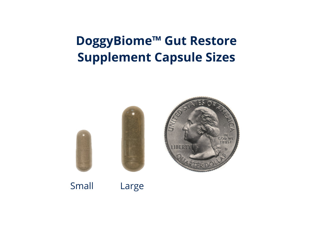 DoggyBiome™ Gut Restore Supplement from Standard Diet-Fed Dogs