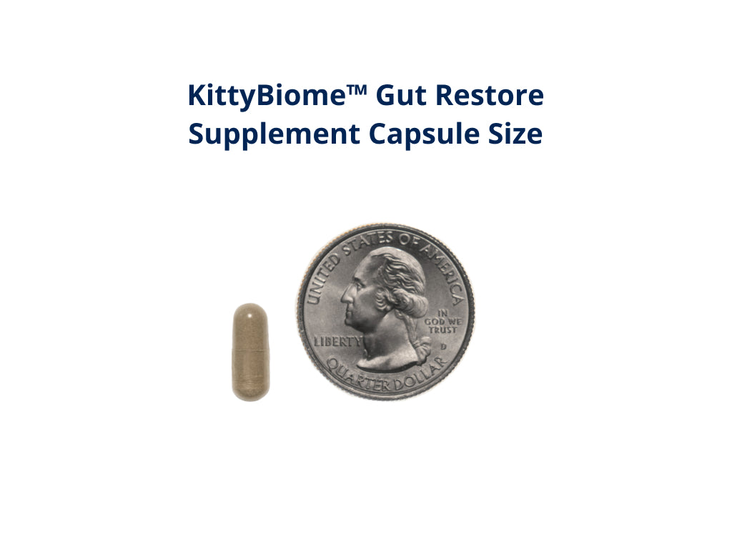 KittyBiome™ Gut Restore Supplement